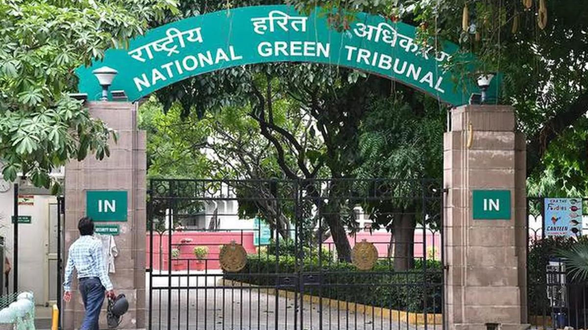 Forest clearance not sought to divert part of Assam wildlife sanctuary, NGT told