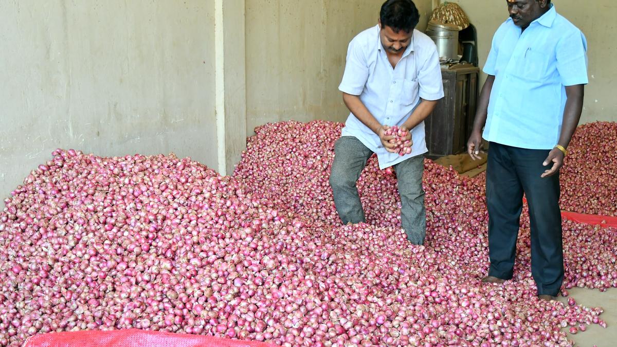 Prices of shallot fall further The Hindu