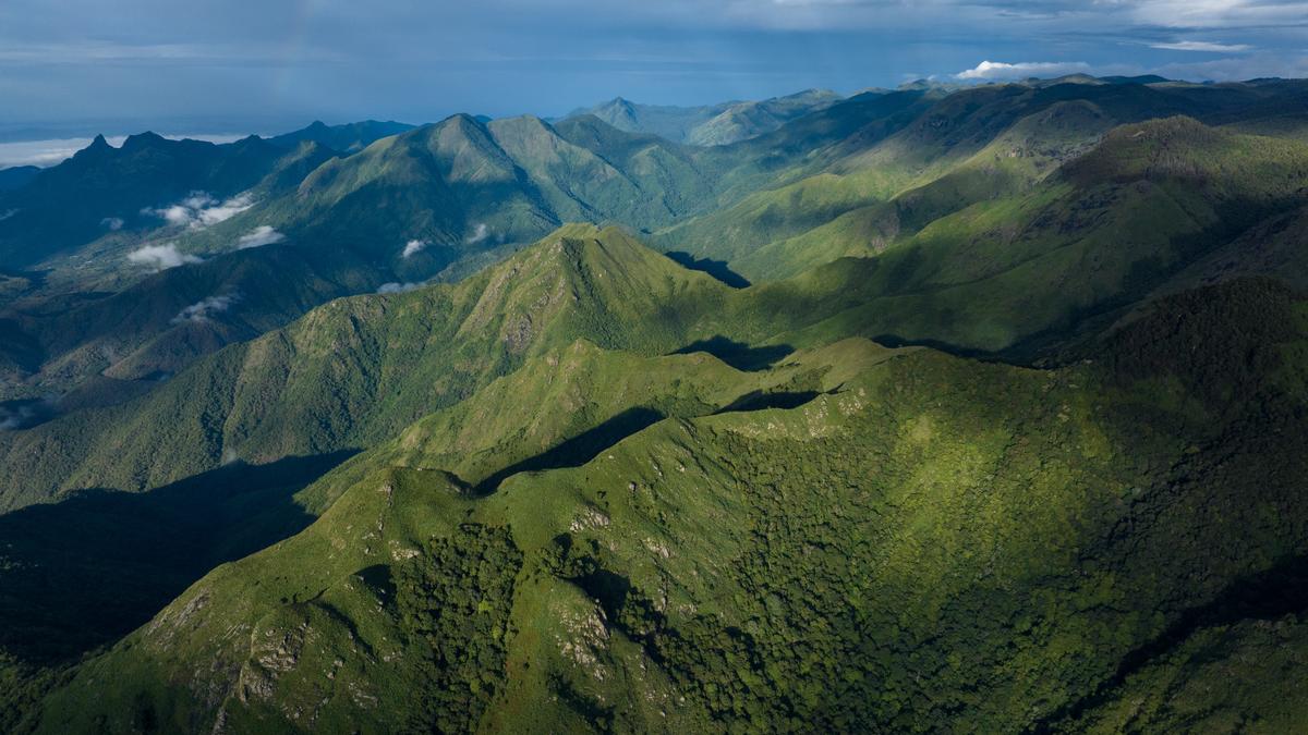 Filmmaker Sandesh Kadur’s new documentary unveils Nilgiris’ unique biodiversity