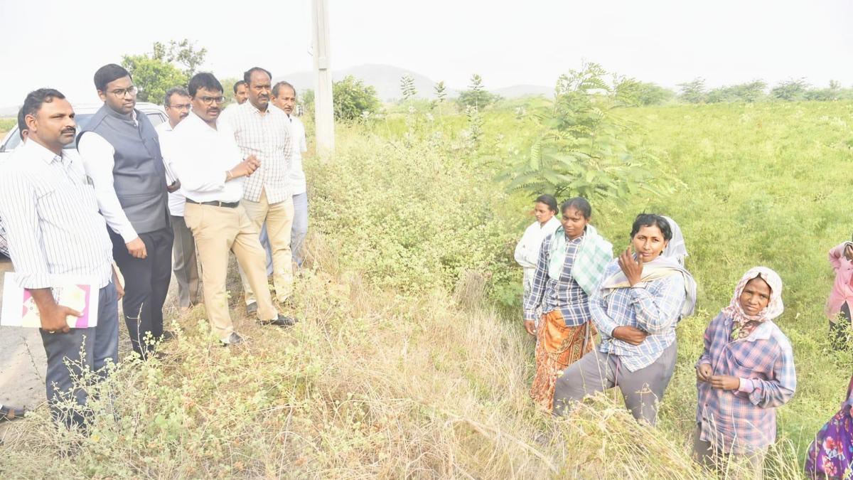 Prakasam Collector advises agricultural labourers to make use of VB-G RAM G scheme