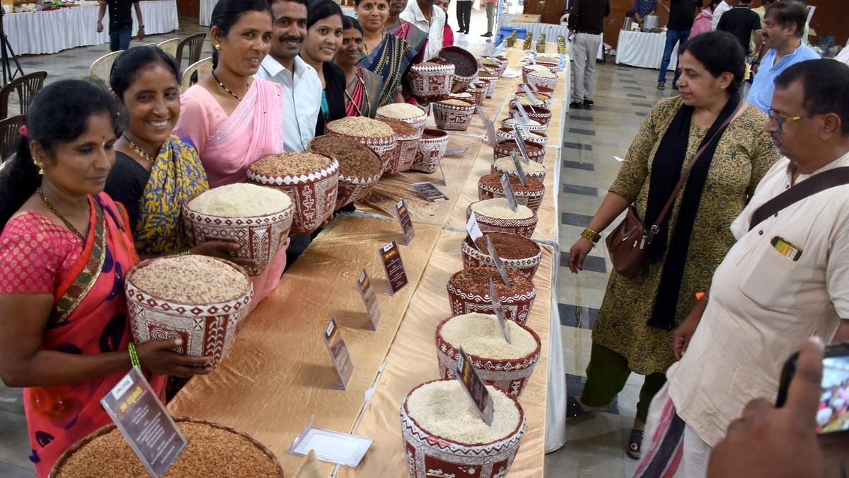 Paddy diversity, agricultural heritage highlighted in Mysuru desi rice mela