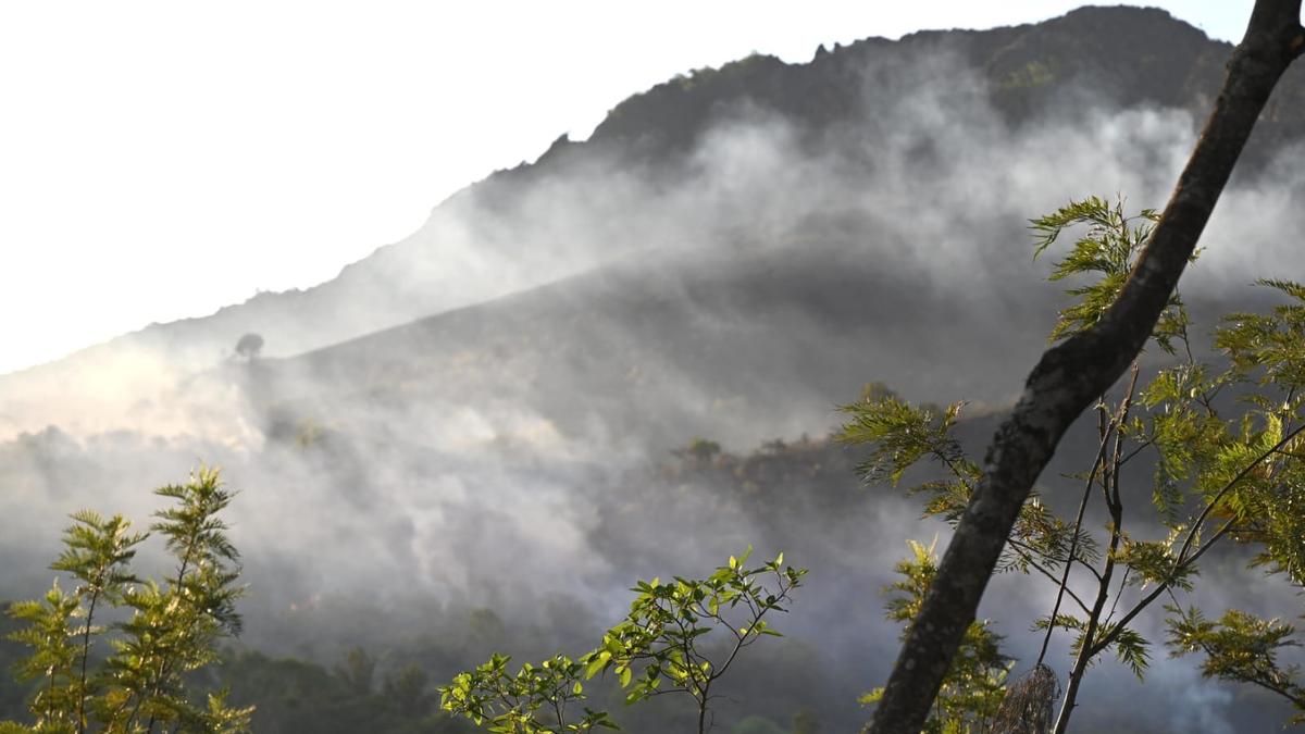 Forest fire at Mullayyanagiri in Chikkamagaluru district