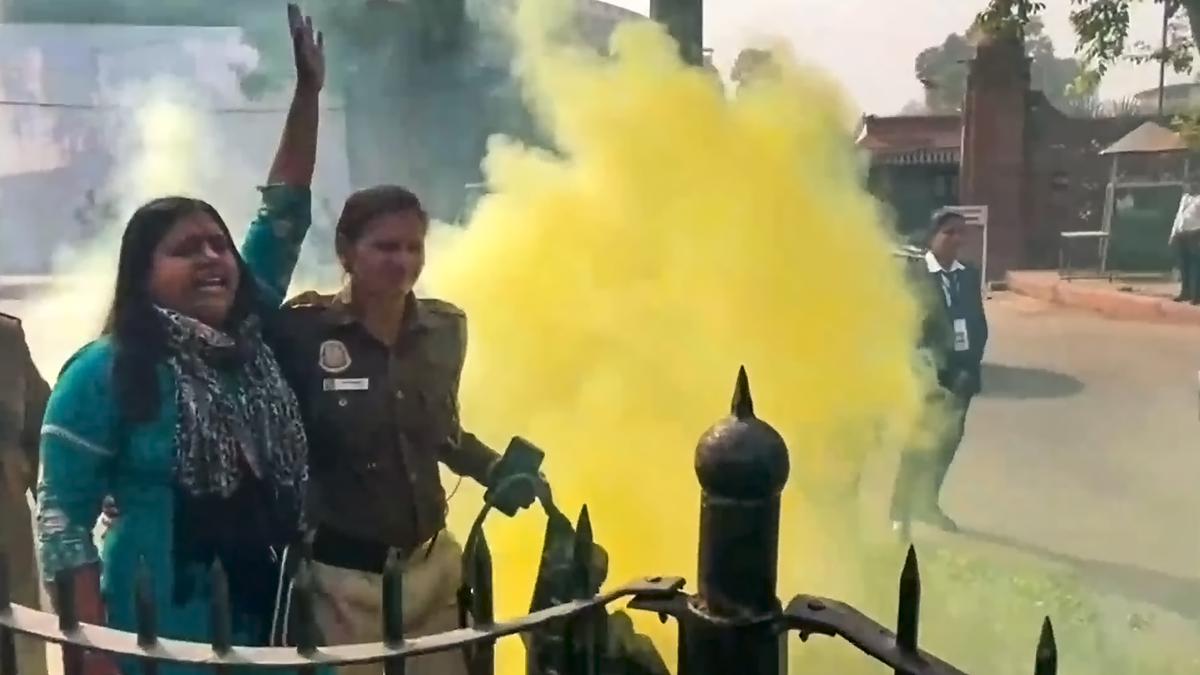 Police personnel detain a woman protesting outside Parliament. Police personnel detain a woman protesting outside Parliament.