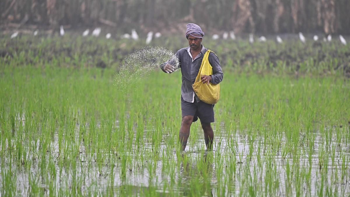 Agriculture Department urges judicious use of fertilizers amid West Asia crisis
