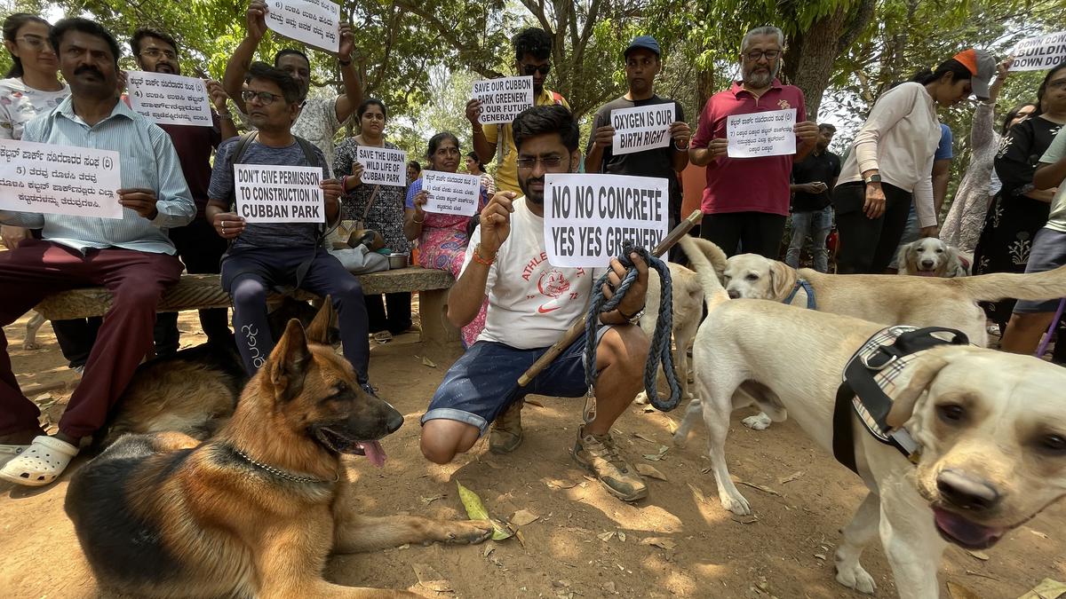 Cubbon Park Walkers’ Association stages protest 