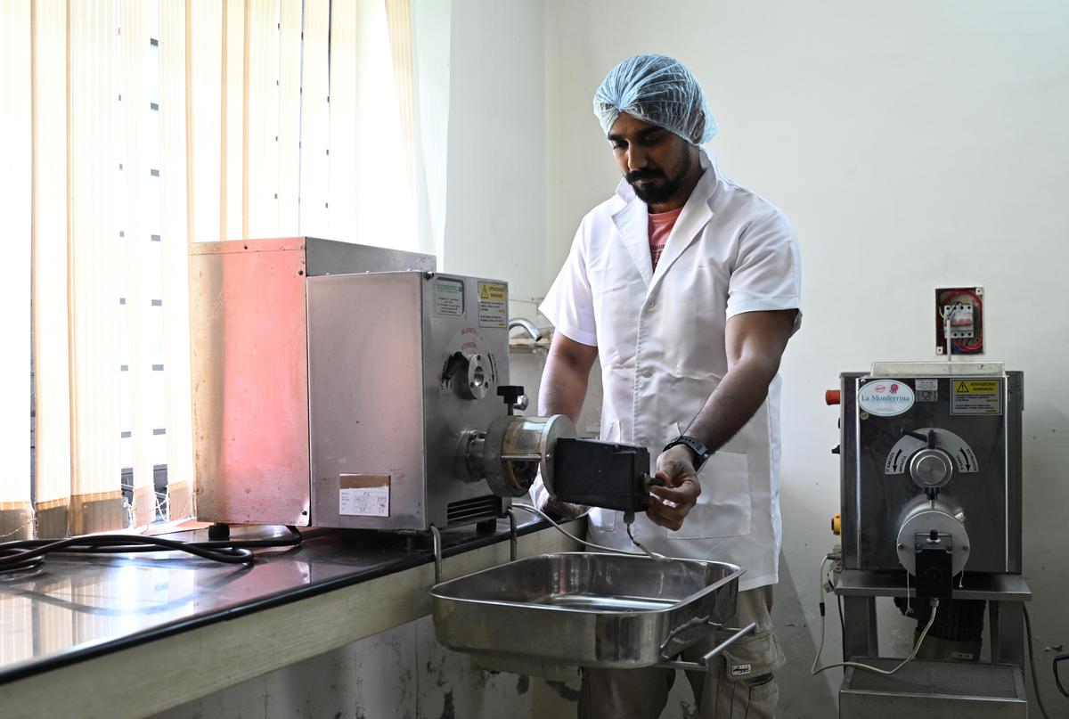 Mechanised production of sweet  potato pasta at ICAR - Central Tuber Crops Research Institute.