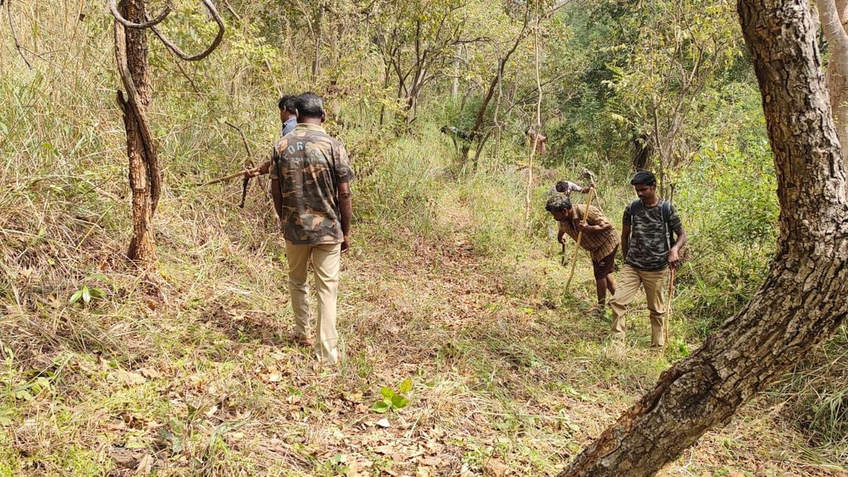 Forest fire prevention works underway in Coimbatore Forest Division