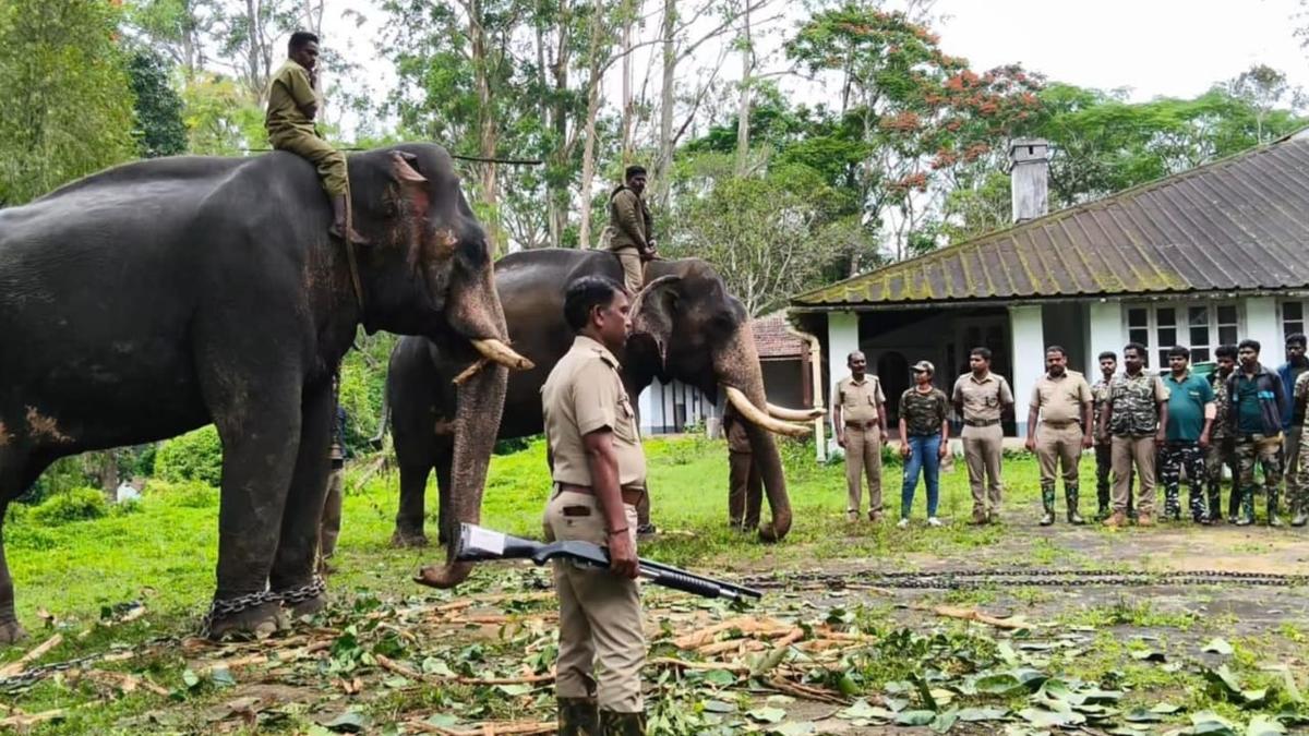 Gudalur division steps up efforts to trap tiger