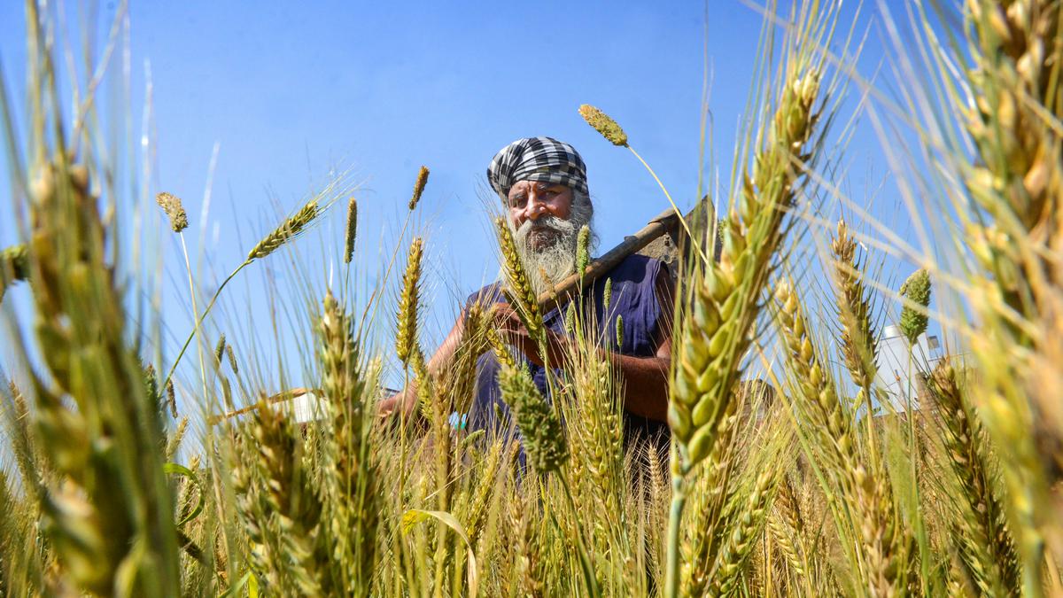 Climbing mercury raises anxiety in farmers