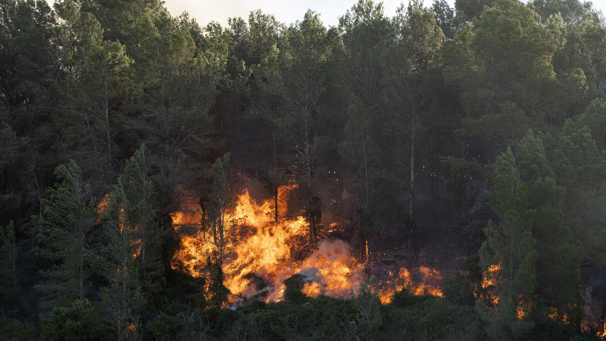 Winds from Storm Ciarán whip up a wildfire in eastern Spain as 850 people are evacuated