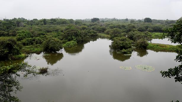 ‘T.N. is for wise use of wetlands’