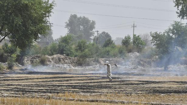 Will take 4-5 years to properly resolve stubble burning issue: Punjab pollution control body