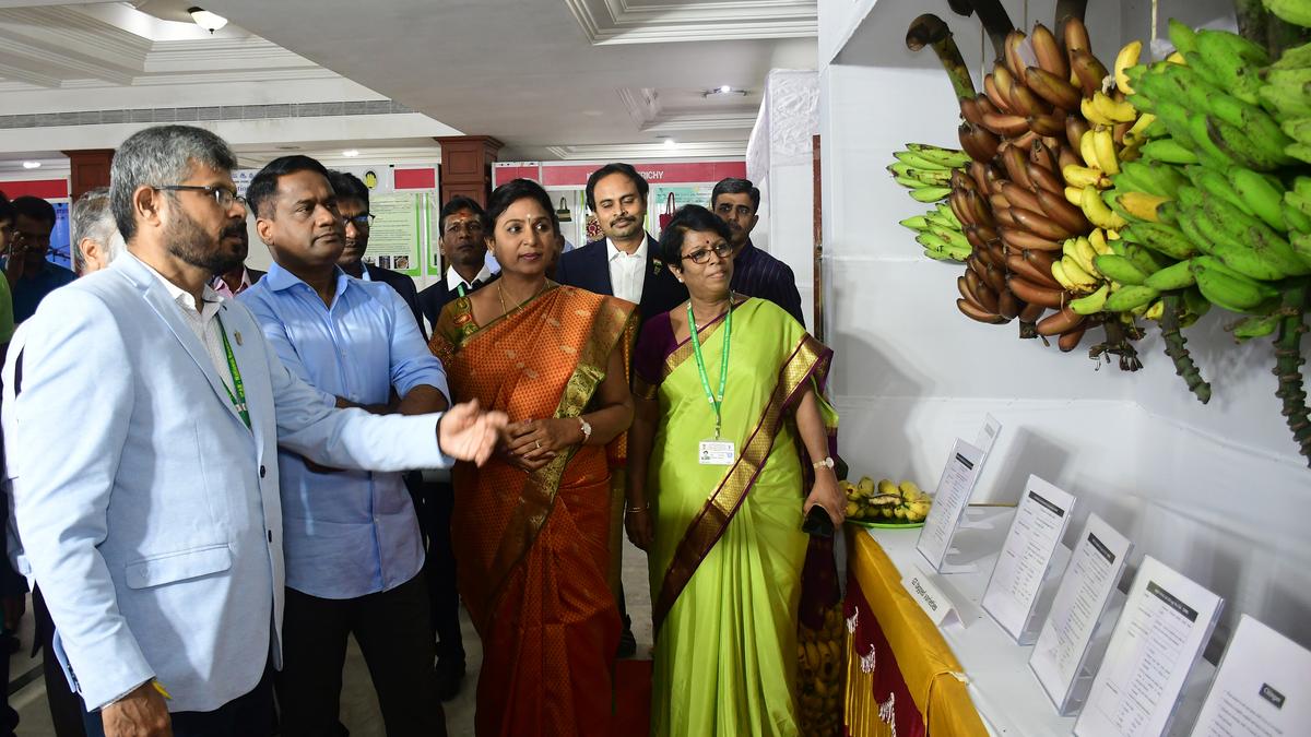 Working group planned to increase export of bananas