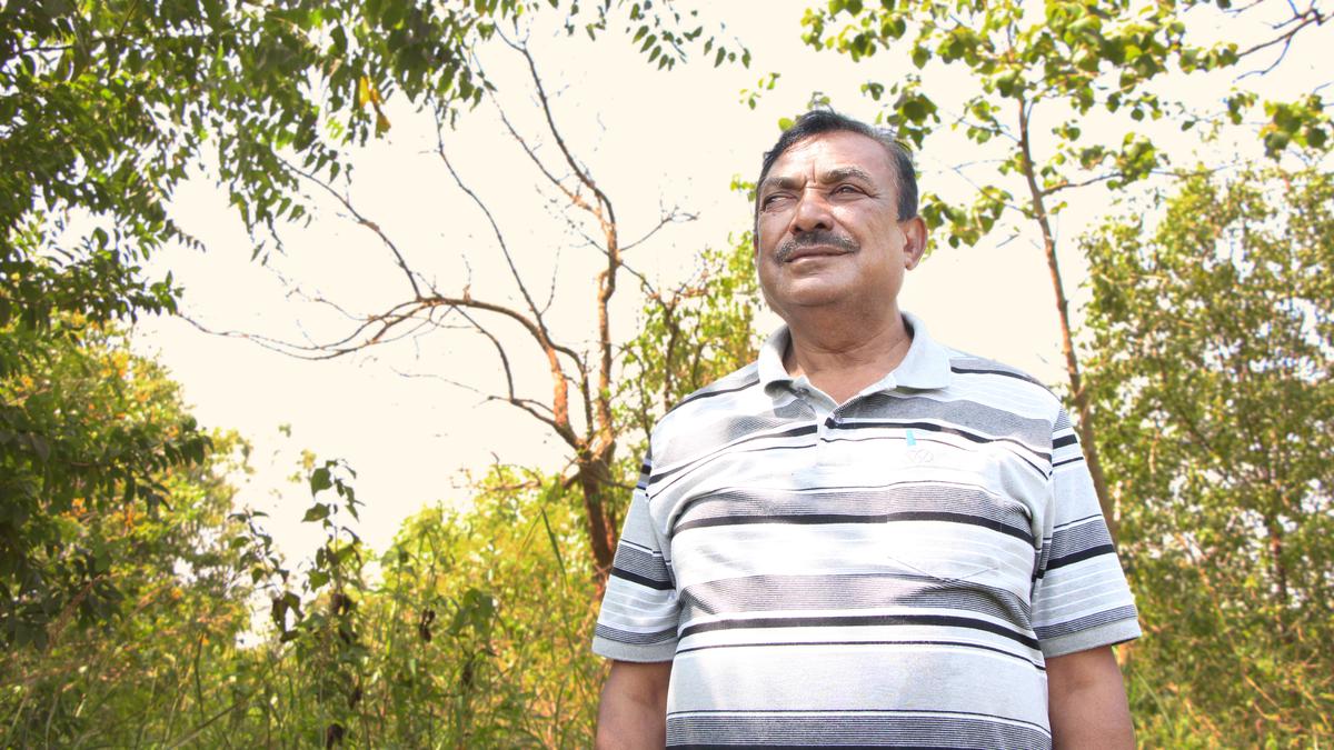This retired official has transformed swathes of dry lands into forests 
Premium