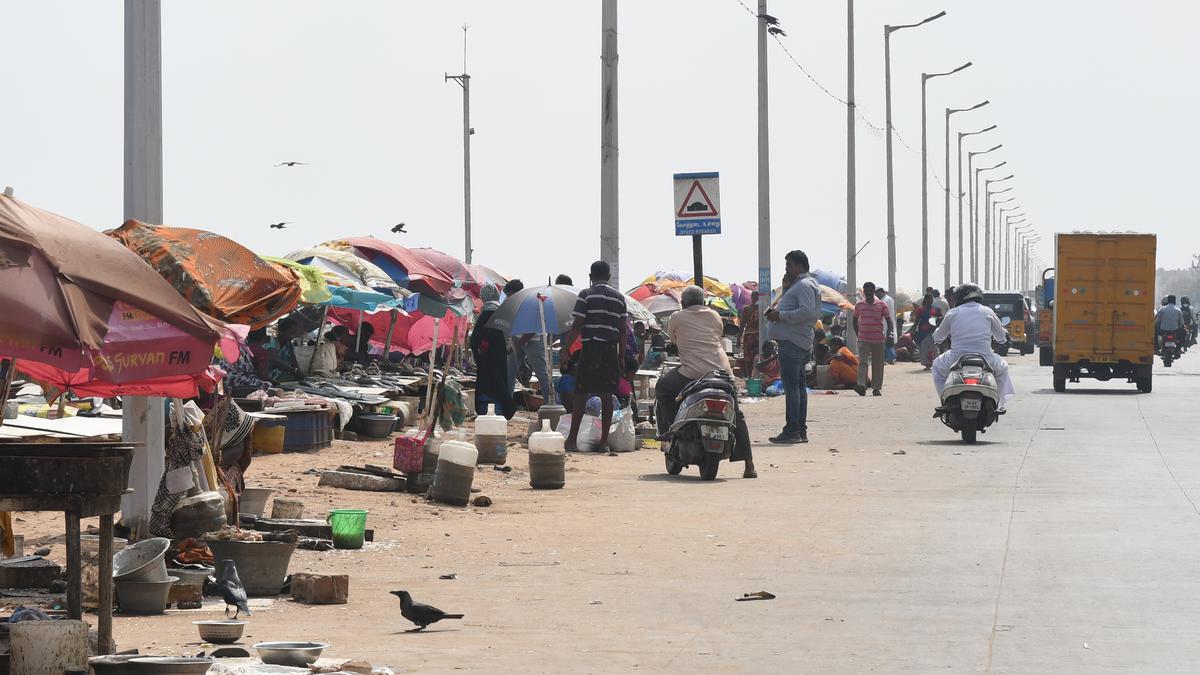 Madras High Court takes up suo motu PIL to regulate fish stalls on Marina Beach loop road