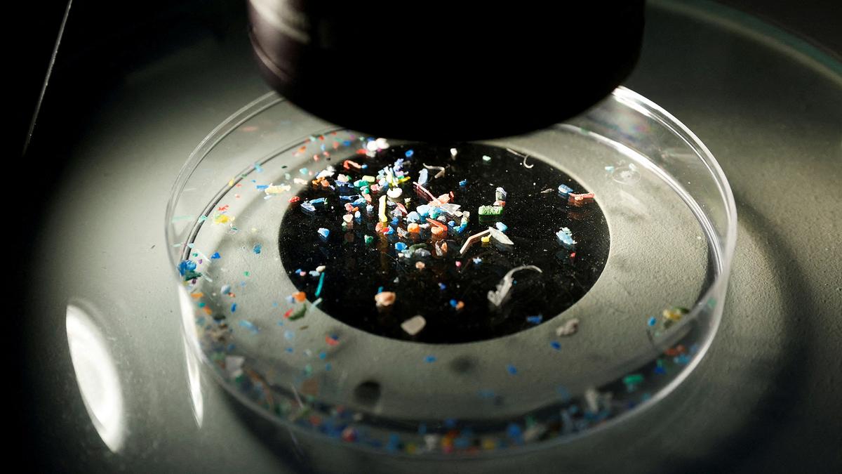 Microplastics finally found in human brains, but that&rsquo;s not the full picture
Premium