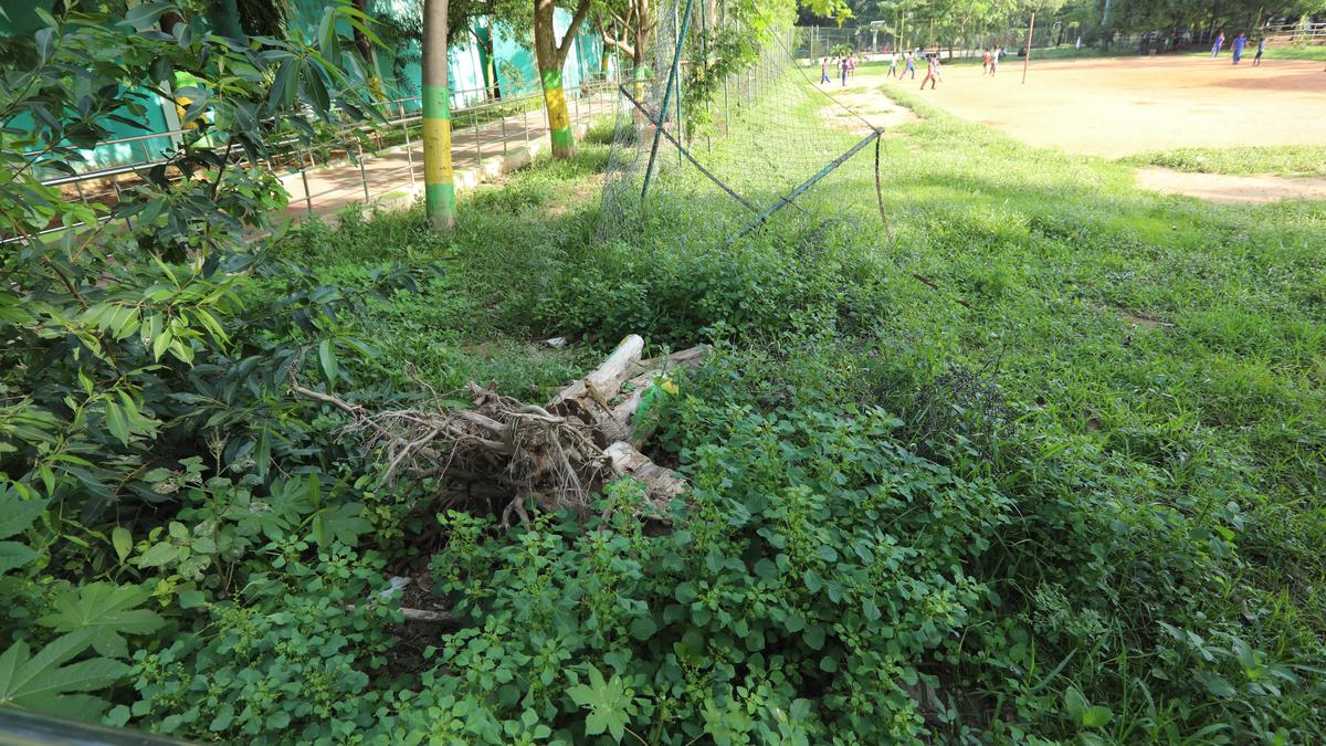 Shenoy Nagar skating park: give the garden hoe more work