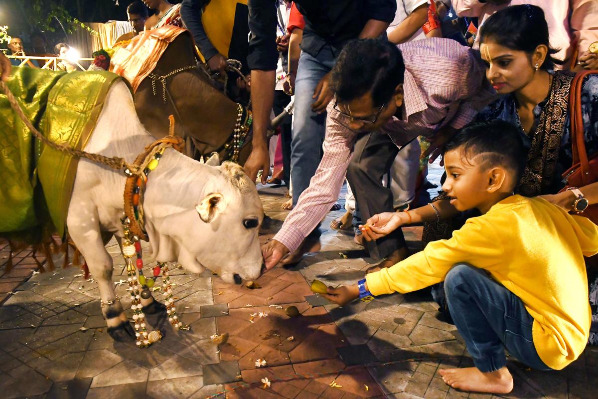 Go Puja, Govardhan Puja celebrated with traditional fervour in Visakhapatnam