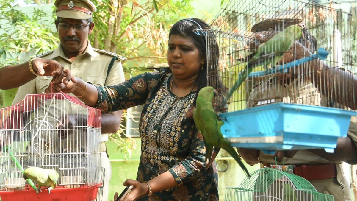 Appeal to hand over Scheduled birds
