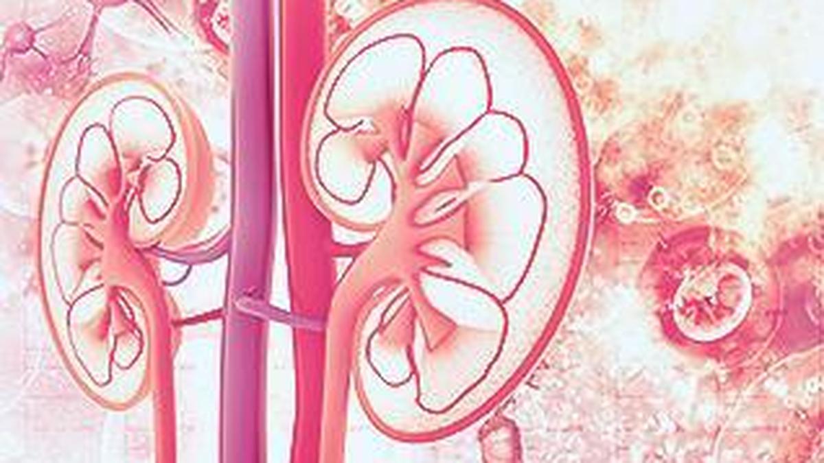 Study projects kidney cancer cases could double in next 25 years globally