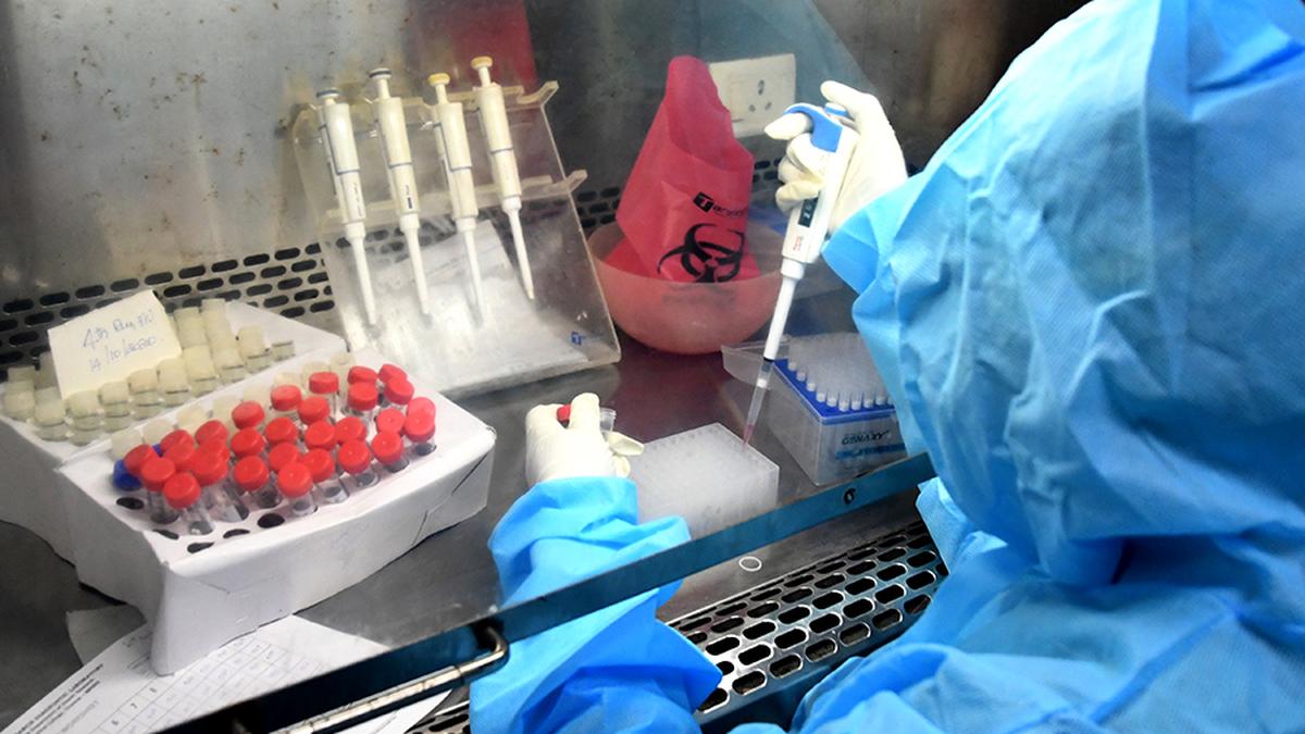 COVID-19 cases surged during May-end, declined after June 13, Rajya Sabha told