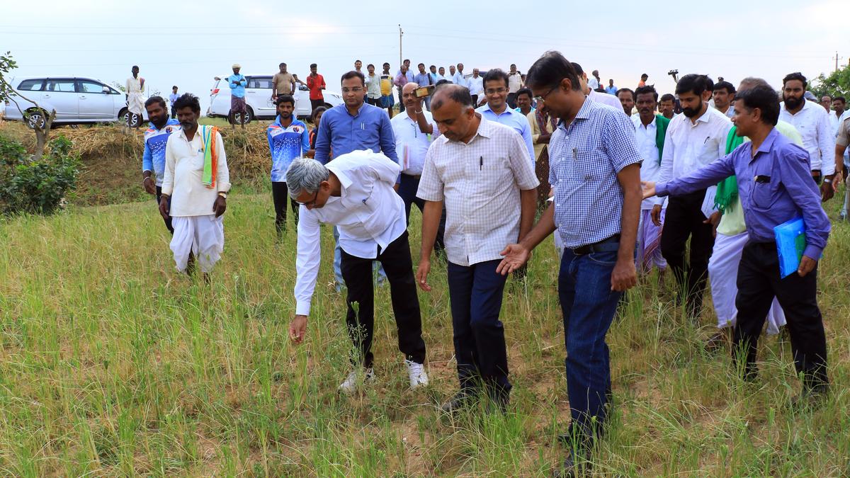 Karnataka urges Centre to increase employment days to 150 under MGNREGS as State faces severe drought