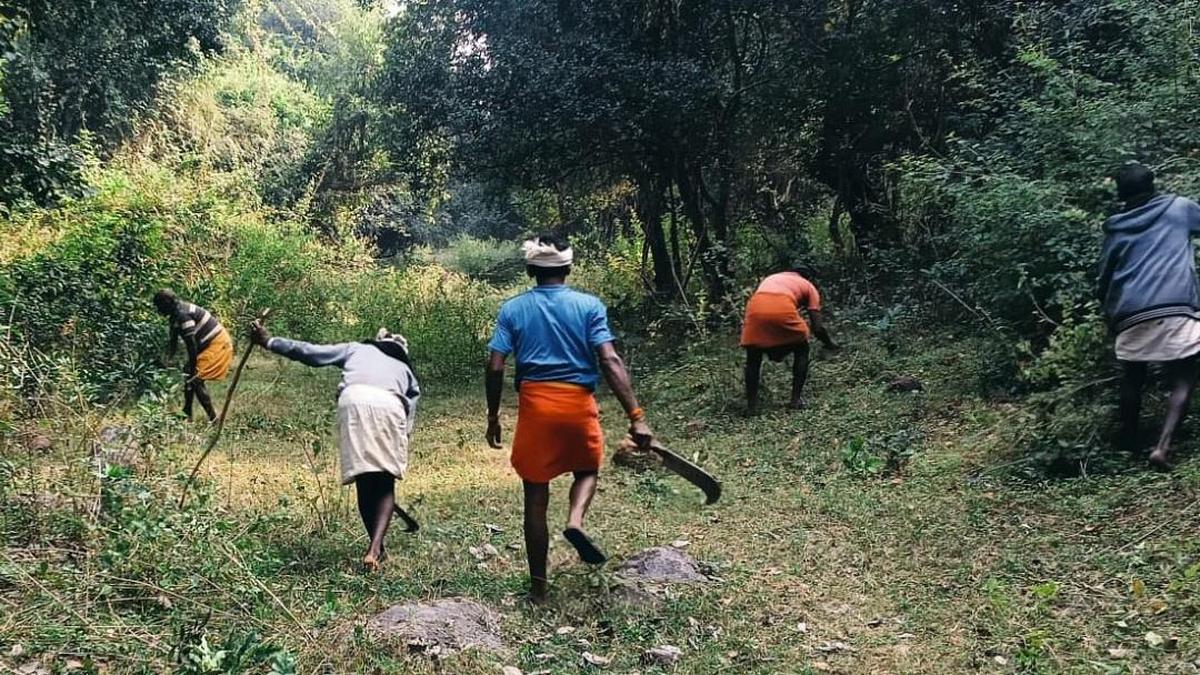 Nearly 500 km of fire lines created in Coimbatore forests ahead of summer