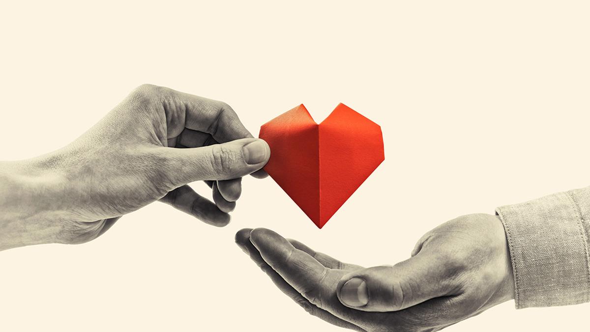 Health Matters newsletter: On organ transplants and heal