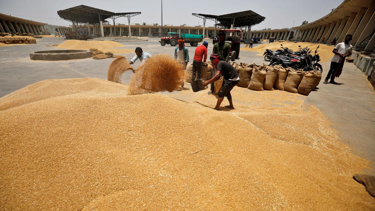 India's surprise wheat export ban traps 1.8 MT at ports: trade