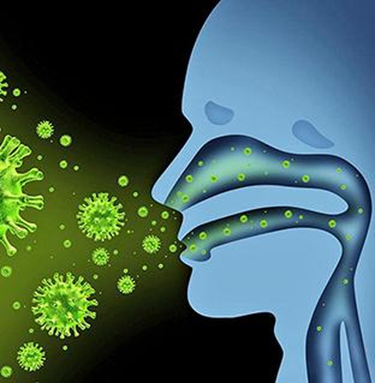 thehindu.com - The Hindu Bureau - Post-viral prolonged cough a cause for concern, say medical experts