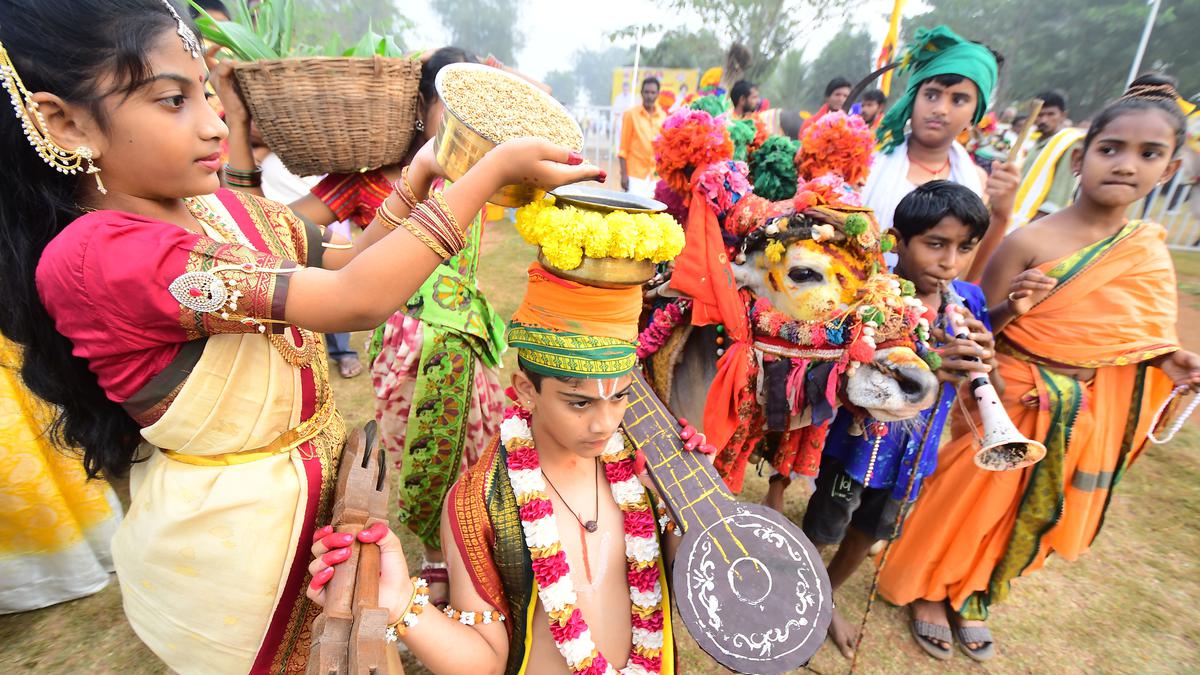 Pottela pandelu, yedla pandelu, rangoli competitions mark Sankranti festivities in villages in Andhra Pradesh