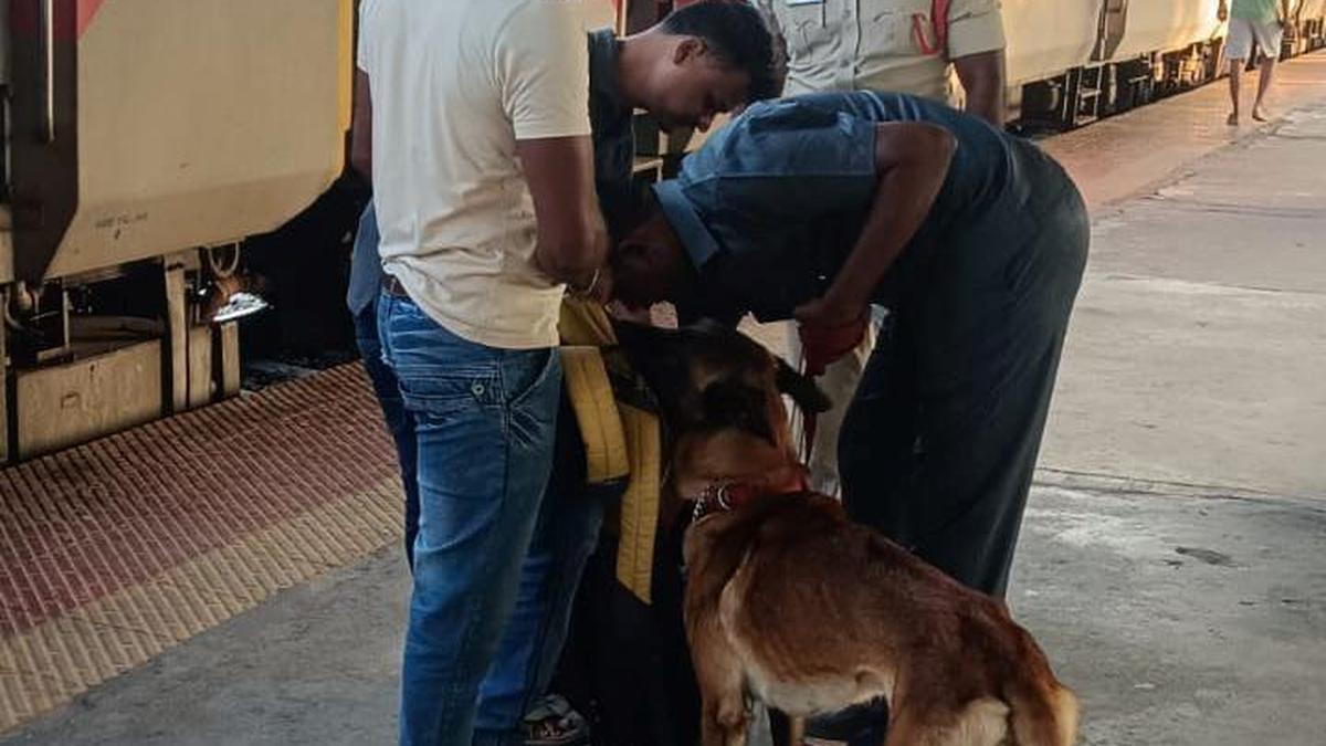 Checks intensified in Anantapur to contain drug trafficking