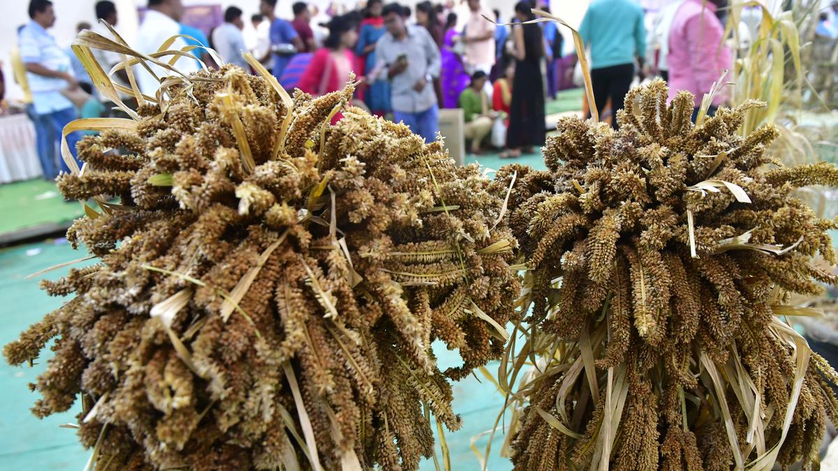 Kristu Jayanti College hosts pre-event for 6th International Millet Trade Fair