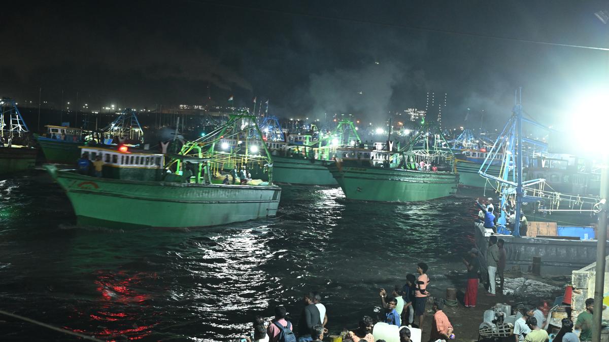 Seafood prices likely to come down as new fishing season starts in Thoothukudi