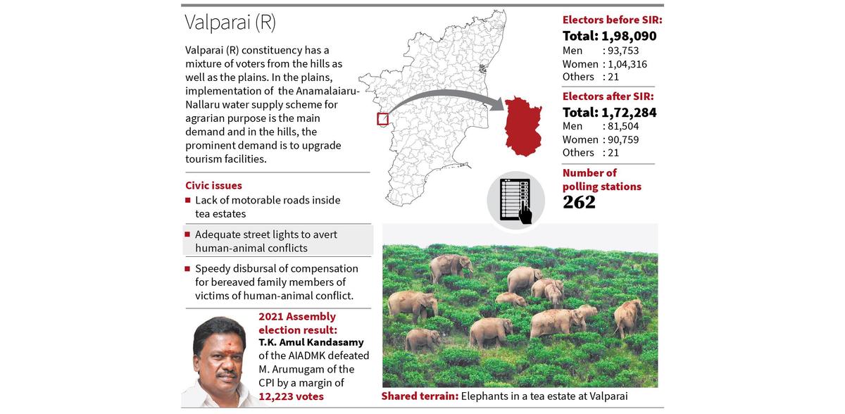 thehindu.com - V S Palaniappan - Improving tourism facilities remains the main demand in Valparai (R) constituency