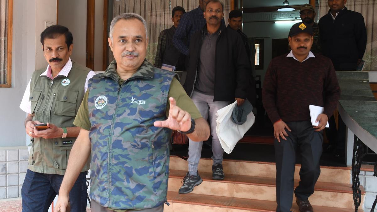 NTCA team visits the Nilgiris to investigate tiger deaths