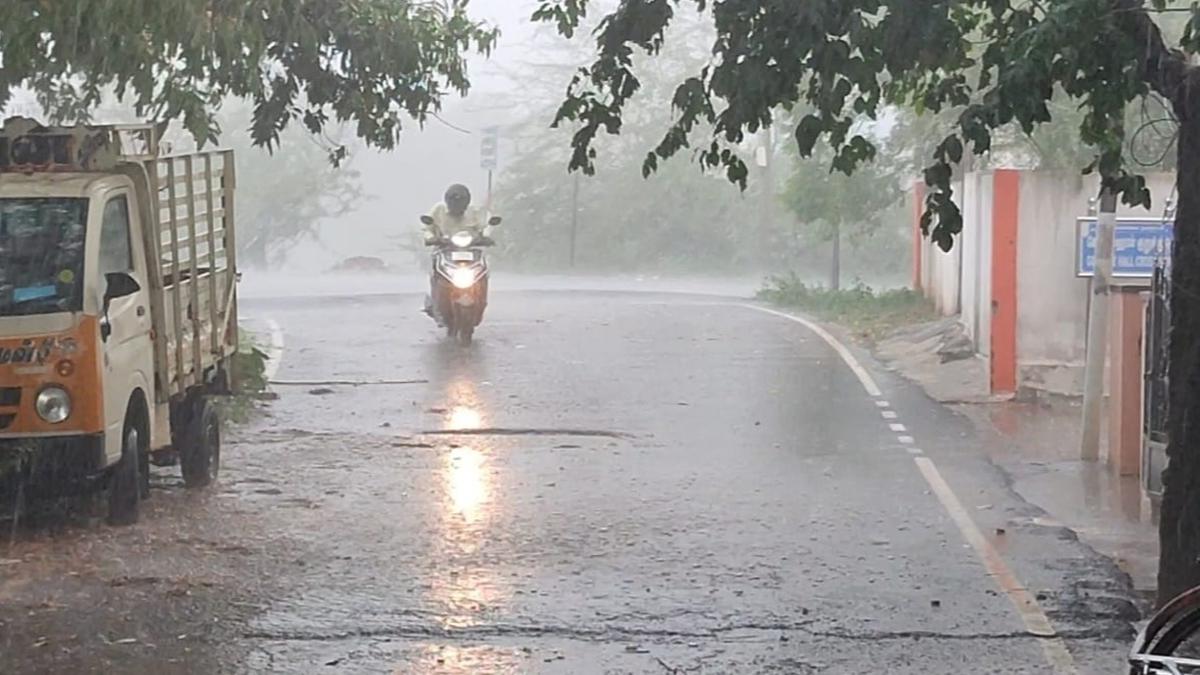 Heavy rain in Sivaganga brings down mercury level; 30 trees uprooted