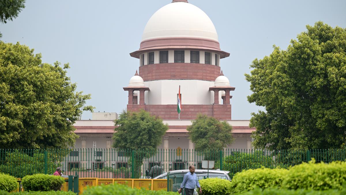 CLAT 2025: Supreme Court transfers all petitions challenging exam results to Delhi HC