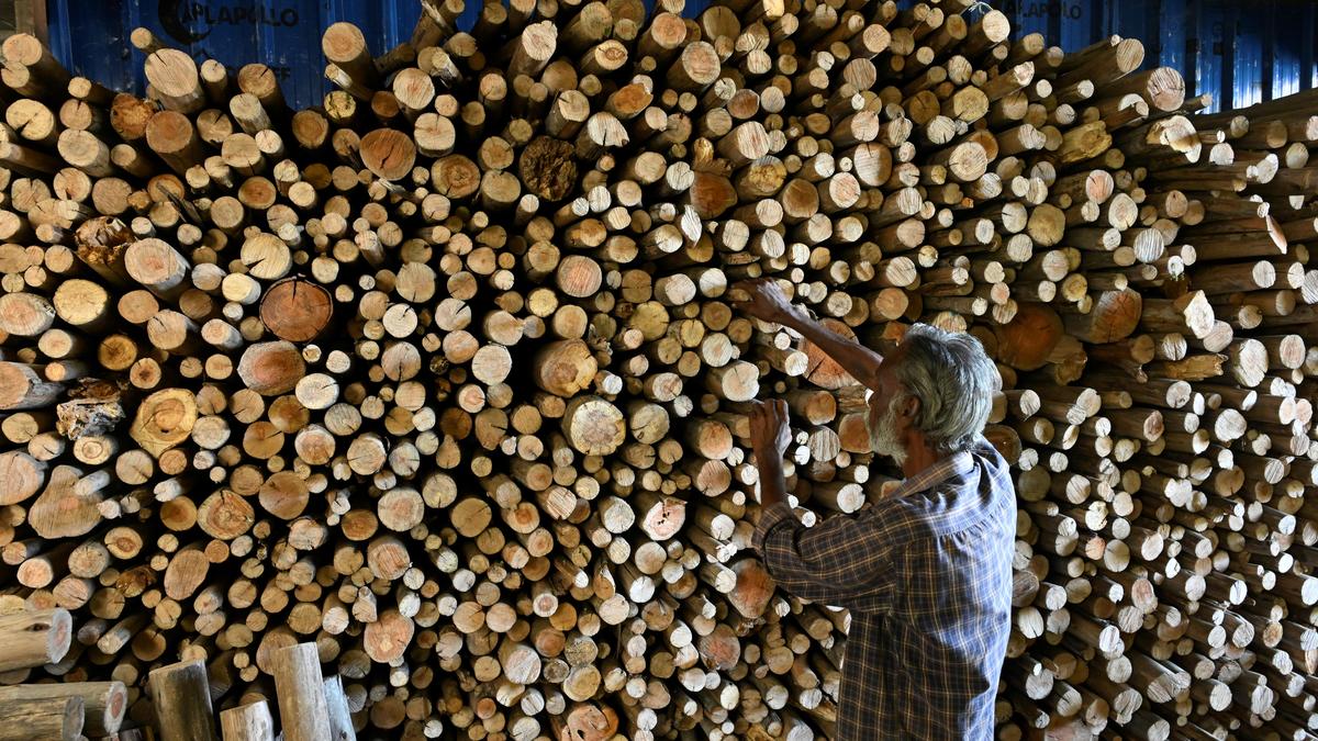 Hotels restrict online food order service in Coimbatore