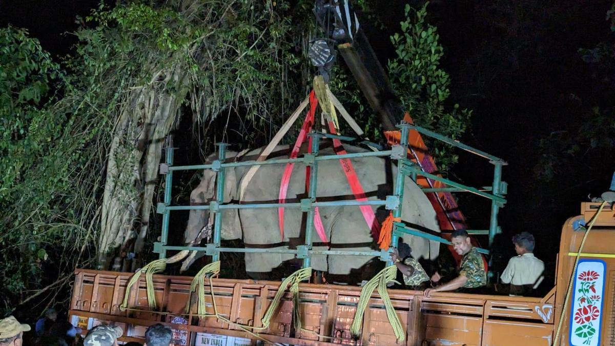 People pelt stones at officials demanding capturing of all wild elephants in Kadaba