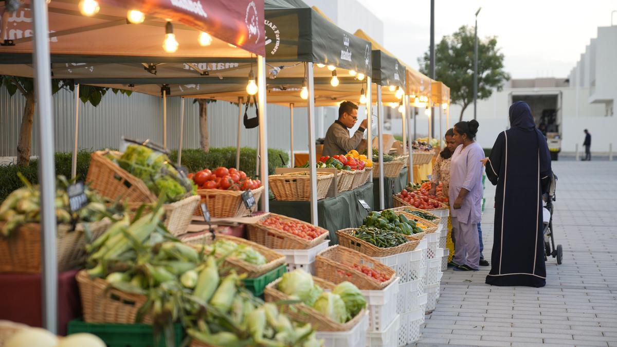 From desert to farmland: UAE strives to become a pioneer in climate-smart agriculture
Premium