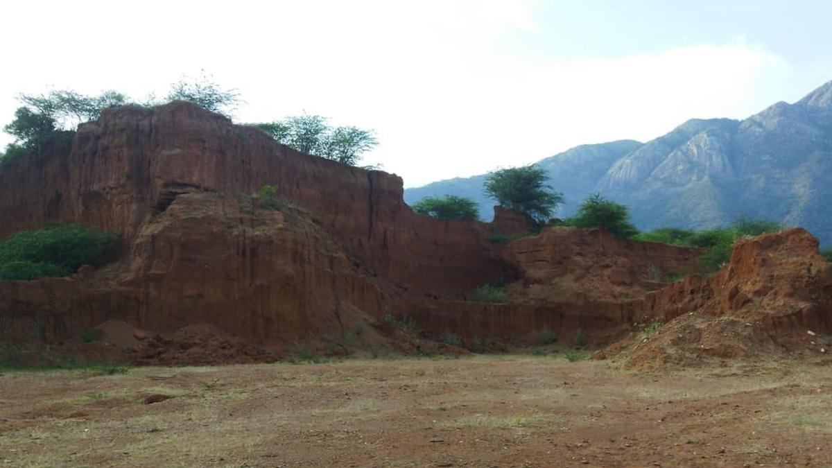 Court restrains operation of 177 brick kilns at Thadagam Valley in Coimbatore district