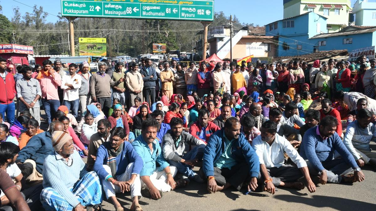 Sex offender&rsquo;s leg broken during chase, Nilgiris police claim
&nbsp;