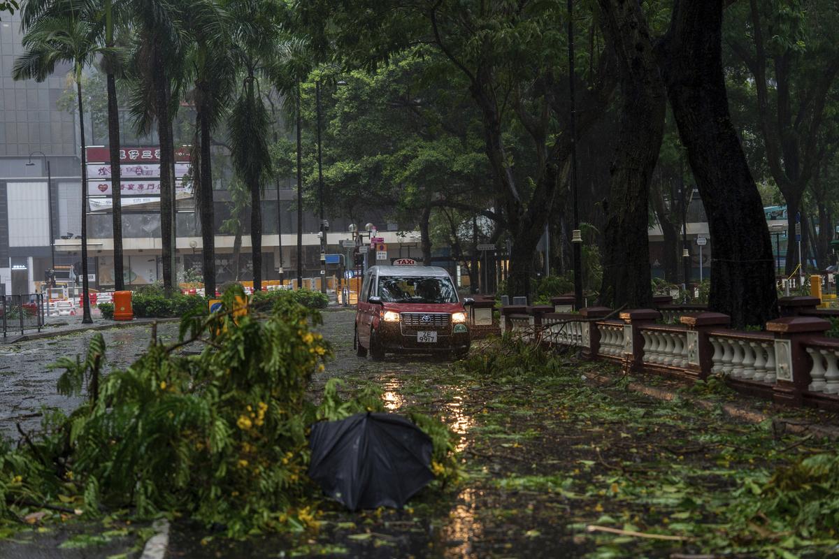 A taxi drives near fallen trees following Typhoon Wipha in Hong Kong on July 20, 2025.