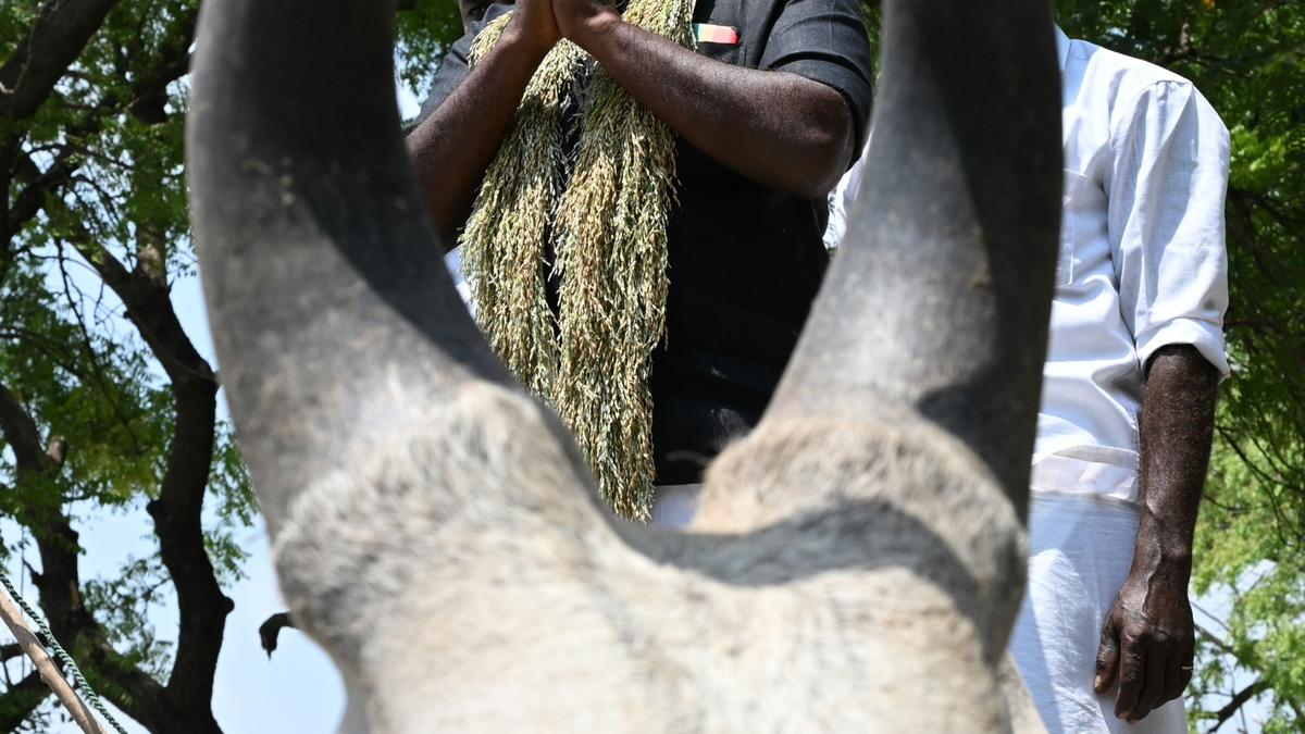 NTK, independent candidates file nominations in Tirunelveli, Tenkasi segments