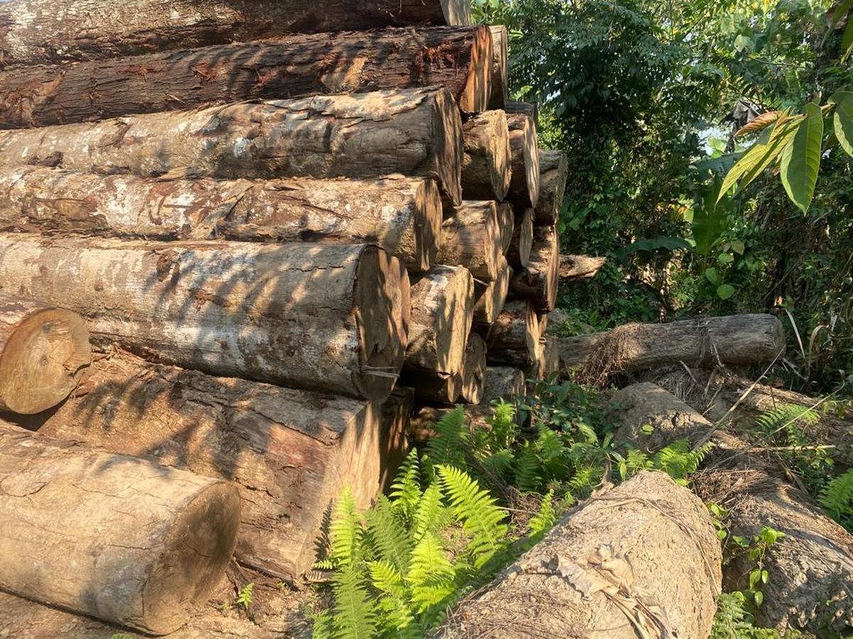 Logs and a truck seized from the core area of Namdapha National Park and Tiger Reserve in Arunachal Pradesh’s Changlang district. Logs and a truck seized from the core area of Namdapha National Park and Tiger Reserve in Arunachal Pradesh’s Changlang district.