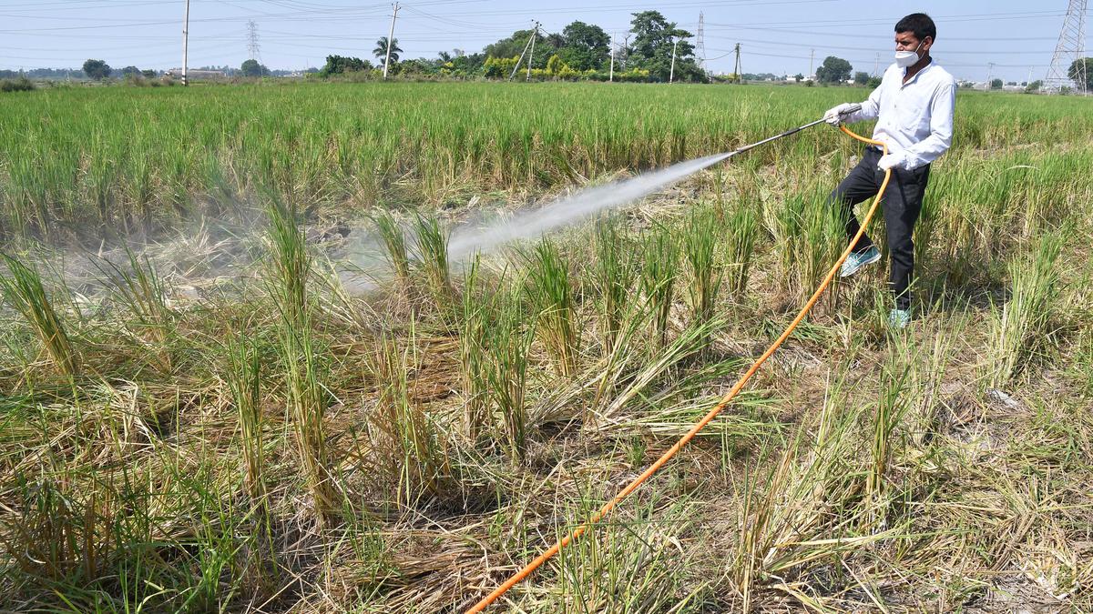 Delhi govt. starts spraying bio-decomposer in fields as AQI remains ‘poor’