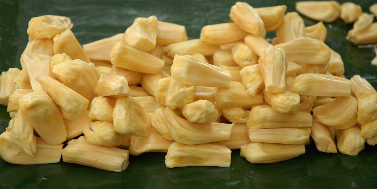 Several value-added products can be made from jackfruit - tender, raw or ripe 