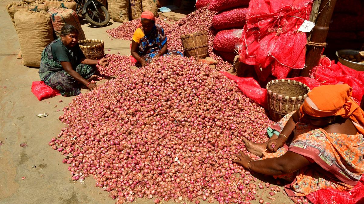 Small onion price shoots up as arrivals shrink because of crop damage and cold weather in the region