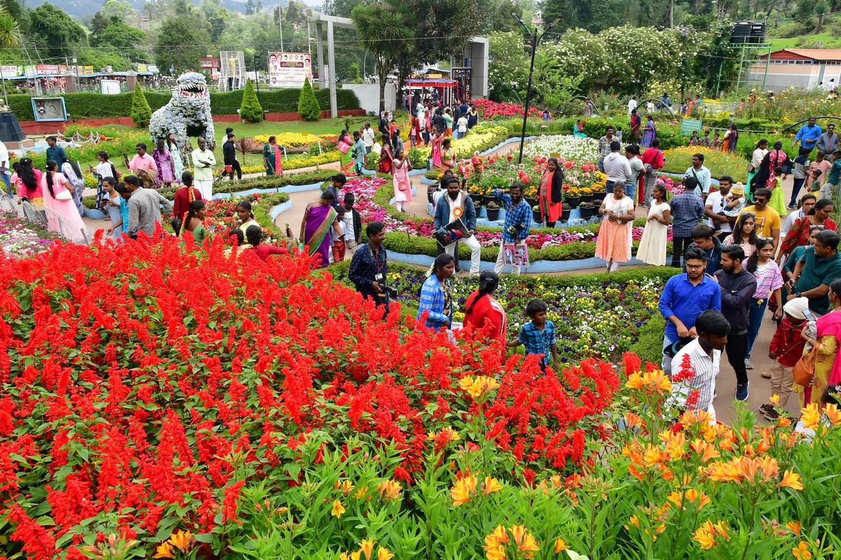 Kodaikanal Flower Show 2025: A Blooming Spectacle